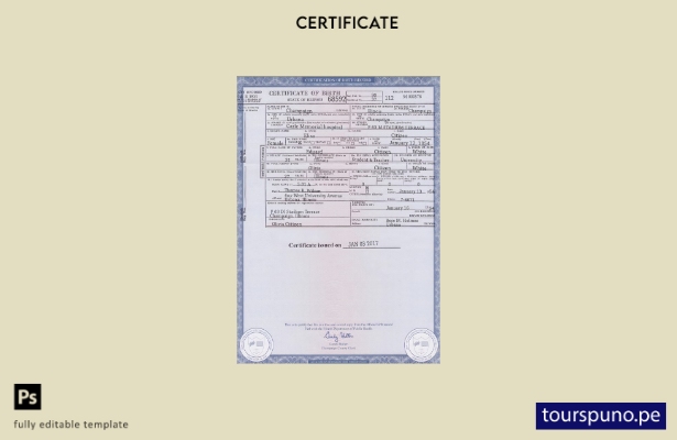 Plantilla de certificado de nacimiento del estado de Illinois de EE. UU. lista p